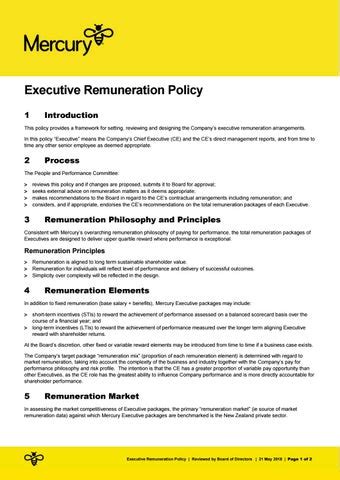 gserp|public entity executive remuneration policy.